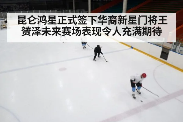 ice hockey rink