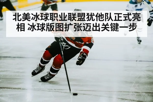 hockey player action